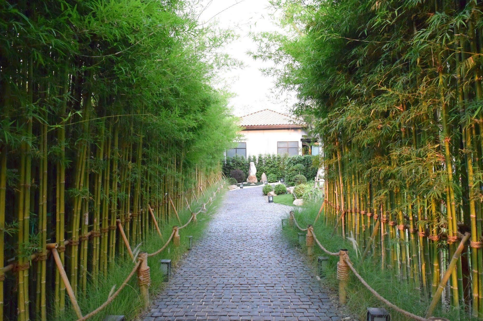 Zen Villa Khao Yai Mu Si Exteriör bild